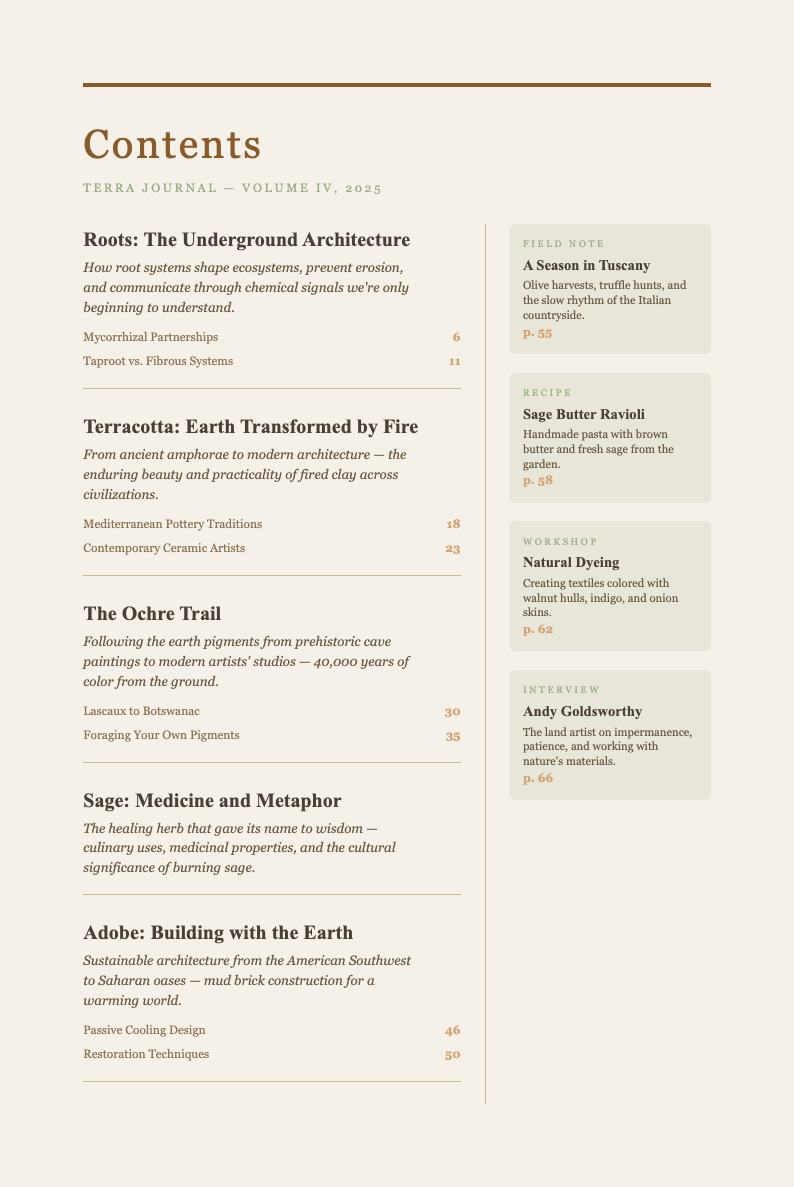 Earth Tone Natural Table Of Contents With Content
